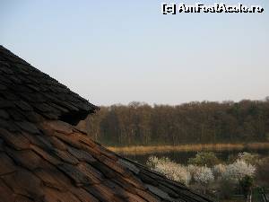 [P04] Imagine spre lac din clopotniță » foto by tata123 🔱
 - 
<span class="allrVoted glyphicon glyphicon-heart hidden" id="av555545"></span>
<a class="m-l-10 hidden" id="sv555545" onclick="voting_Foto_DelVot(,555545,4638)" role="button">șterge vot <span class="glyphicon glyphicon-remove"></span></a>
<a id="v9555545" class=" c-red"  onclick="voting_Foto_SetVot(555545)" role="button"><span class="glyphicon glyphicon-heart-empty"></span> <b>LIKE</b> = Votează poza</a> <img class="hidden"  id="f555545W9" src="/imagini/loader.gif" border="0" /><span class="AjErrMes hidden" id="e555545ErM"></span>