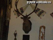 [P01] Decor in restaurantul Furnica » foto by magdalena
 - 
<span class="allrVoted glyphicon glyphicon-heart hidden" id="av42733"></span>
<a class="m-l-10 hidden" id="sv42733" onclick="voting_Foto_DelVot(,42733,4643)" role="button">șterge vot <span class="glyphicon glyphicon-remove"></span></a>
<a id="v942733" class=" c-red"  onclick="voting_Foto_SetVot(42733)" role="button"><span class="glyphicon glyphicon-heart-empty"></span> <b>LIKE</b> = Votează poza</a> <img class="hidden"  id="f42733W9" src="/imagini/loader.gif" border="0" /><span class="AjErrMes hidden" id="e42733ErM"></span>
