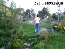 [P08] curtea din spate » foto by mario 110
 - 
<span class="allrVoted glyphicon glyphicon-heart hidden" id="av42802"></span>
<a class="m-l-10 hidden" id="sv42802" onclick="voting_Foto_DelVot(,42802,4647)" role="button">șterge vot <span class="glyphicon glyphicon-remove"></span></a>
<a id="v942802" class=" c-red"  onclick="voting_Foto_SetVot(42802)" role="button"><span class="glyphicon glyphicon-heart-empty"></span> <b>LIKE</b> = Votează poza</a> <img class="hidden"  id="f42802W9" src="/imagini/loader.gif" border="0" /><span class="AjErrMes hidden" id="e42802ErM"></span>