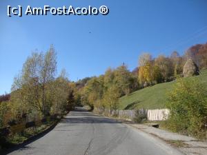 [P16] Meleaguri româneşti îmbrăcate în straie colorate de toamnă.  » foto by Floryn81
 - 
<span class="allrVoted glyphicon glyphicon-heart hidden" id="av919135"></span>
<a class="m-l-10 hidden" id="sv919135" onclick="voting_Foto_DelVot(,919135,4656)" role="button">șterge vot <span class="glyphicon glyphicon-remove"></span></a>
<a id="v9919135" class=" c-red"  onclick="voting_Foto_SetVot(919135)" role="button"><span class="glyphicon glyphicon-heart-empty"></span> <b>LIKE</b> = Votează poza</a> <img class="hidden"  id="f919135W9" src="/imagini/loader.gif" border="0" /><span class="AjErrMes hidden" id="e919135ErM"></span>