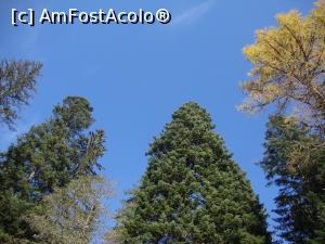 [P35] Măreţia pădurii şi azuriul cerului - un cadru natural de vis pentru o zi de toamnă foarte reuşită.  » foto by Floryn81
 - 
<span class="allrVoted glyphicon glyphicon-heart hidden" id="av919175"></span>
<a class="m-l-10 hidden" id="sv919175" onclick="voting_Foto_DelVot(,919175,4656)" role="button">șterge vot <span class="glyphicon glyphicon-remove"></span></a>
<a id="v9919175" class=" c-red"  onclick="voting_Foto_SetVot(919175)" role="button"><span class="glyphicon glyphicon-heart-empty"></span> <b>LIKE</b> = Votează poza</a> <img class="hidden"  id="f919175W9" src="/imagini/loader.gif" border="0" /><span class="AjErrMes hidden" id="e919175ErM"></span>
