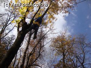 [P58] Juniorul nostru a testat tiroliana aflată în parcul „Dimitrie Ghica” din Sinaia. Curaj, nenicule!  » foto by Floryn81
 - 
<span class="allrVoted glyphicon glyphicon-heart hidden" id="av919198"></span>
<a class="m-l-10 hidden" id="sv919198" onclick="voting_Foto_DelVot(,919198,4656)" role="button">șterge vot <span class="glyphicon glyphicon-remove"></span></a>
<a id="v9919198" class=" c-red"  onclick="voting_Foto_SetVot(919198)" role="button"><span class="glyphicon glyphicon-heart-empty"></span> <b>LIKE</b> = Votează poza</a> <img class="hidden"  id="f919198W9" src="/imagini/loader.gif" border="0" /><span class="AjErrMes hidden" id="e919198ErM"></span>