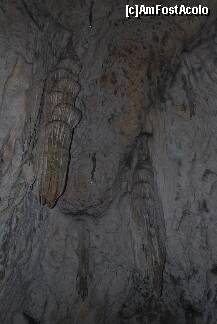 [P19] Formatiuni din Pestera Muierilor » foto by elena_iasi
 - 
<span class="allrVoted glyphicon glyphicon-heart hidden" id="av277890"></span>
<a class="m-l-10 hidden" id="sv277890" onclick="voting_Foto_DelVot(,277890,4656)" role="button">șterge vot <span class="glyphicon glyphicon-remove"></span></a>
<a id="v9277890" class=" c-red"  onclick="voting_Foto_SetVot(277890)" role="button"><span class="glyphicon glyphicon-heart-empty"></span> <b>LIKE</b> = Votează poza</a> <img class="hidden"  id="f277890W9" src="/imagini/loader.gif" border="0" /><span class="AjErrMes hidden" id="e277890ErM"></span>