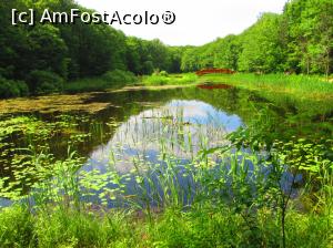 [P25] Lacul cu nuferi - Ipotesti » foto by vulpe mihaela
 - 
<span class="allrVoted glyphicon glyphicon-heart hidden" id="av864392"></span>
<a class="m-l-10 hidden" id="sv864392" onclick="voting_Foto_DelVot(,864392,4656)" role="button">șterge vot <span class="glyphicon glyphicon-remove"></span></a>
<a id="v9864392" class=" c-red"  onclick="voting_Foto_SetVot(864392)" role="button"><span class="glyphicon glyphicon-heart-empty"></span> <b>LIKE</b> = Votează poza</a> <img class="hidden"  id="f864392W9" src="/imagini/loader.gif" border="0" /><span class="AjErrMes hidden" id="e864392ErM"></span>