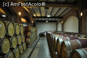 [P12] Chateau Vartel- Butoaiele în așteptare » foto by Gabise
 - 
<span class="allrVoted glyphicon glyphicon-heart hidden" id="av781414"></span>
<a class="m-l-10 hidden" id="sv781414" onclick="voting_Foto_DelVot(,781414,4656)" role="button">șterge vot <span class="glyphicon glyphicon-remove"></span></a>
<a id="v9781414" class=" c-red"  onclick="voting_Foto_SetVot(781414)" role="button"><span class="glyphicon glyphicon-heart-empty"></span> <b>LIKE</b> = Votează poza</a> <img class="hidden"  id="f781414W9" src="/imagini/loader.gif" border="0" /><span class="AjErrMes hidden" id="e781414ErM"></span>
