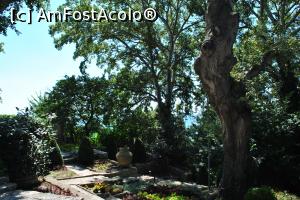 [P22] Balcic-Gradina » foto by Gabise
 - 
<span class="allrVoted glyphicon glyphicon-heart hidden" id="av781446"></span>
<a class="m-l-10 hidden" id="sv781446" onclick="voting_Foto_DelVot(,781446,4656)" role="button">șterge vot <span class="glyphicon glyphicon-remove"></span></a>
<a id="v9781446" class=" c-red"  onclick="voting_Foto_SetVot(781446)" role="button"><span class="glyphicon glyphicon-heart-empty"></span> <b>LIKE</b> = Votează poza</a> <img class="hidden"  id="f781446W9" src="/imagini/loader.gif" border="0" /><span class="AjErrMes hidden" id="e781446ErM"></span>