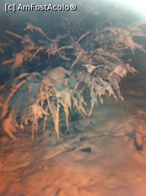 [P03] Spre adeverire » foto by Yersinia Pestis
 - 
<span class="allrVoted glyphicon glyphicon-heart hidden" id="av736067"></span>
<a class="m-l-10 hidden" id="sv736067" onclick="voting_Foto_DelVot(,736067,4656)" role="button">șterge vot <span class="glyphicon glyphicon-remove"></span></a>
<a id="v9736067" class=" c-red"  onclick="voting_Foto_SetVot(736067)" role="button"><span class="glyphicon glyphicon-heart-empty"></span> <b>LIKE</b> = Votează poza</a> <img class="hidden"  id="f736067W9" src="/imagini/loader.gif" border="0" /><span class="AjErrMes hidden" id="e736067ErM"></span>