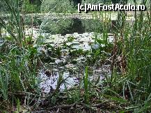 [P03] 'Lacul codrilor albastru...'
multa mizerie il incarca...-Ipotesti,judetul Botosani » foto by trandafir 1970*
 - 
<span class="allrVoted glyphicon glyphicon-heart hidden" id="av51631"></span>
<a class="m-l-10 hidden" id="sv51631" onclick="voting_Foto_DelVot(,51631,4656)" role="button">șterge vot <span class="glyphicon glyphicon-remove"></span></a>
<a id="v951631" class=" c-red"  onclick="voting_Foto_SetVot(51631)" role="button"><span class="glyphicon glyphicon-heart-empty"></span> <b>LIKE</b> = Votează poza</a> <img class="hidden"  id="f51631W9" src="/imagini/loader.gif" border="0" /><span class="AjErrMes hidden" id="e51631ErM"></span>