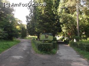 [P28] După un drum de 3 km din șosea, pe un drum prin pădure, am ajuns la intrarea în zimbrărie. Până la zimbri mai mergem vreun km pe jos.  » foto by Aurici
 - 
<span class="allrVoted glyphicon glyphicon-heart hidden" id="av810576"></span>
<a class="m-l-10 hidden" id="sv810576" onclick="voting_Foto_DelVot(,810576,4656)" role="button">șterge vot <span class="glyphicon glyphicon-remove"></span></a>
<a id="v9810576" class=" c-red"  onclick="voting_Foto_SetVot(810576)" role="button"><span class="glyphicon glyphicon-heart-empty"></span> <b>LIKE</b> = Votează poza</a> <img class="hidden"  id="f810576W9" src="/imagini/loader.gif" border="0" /><span class="AjErrMes hidden" id="e810576ErM"></span>
