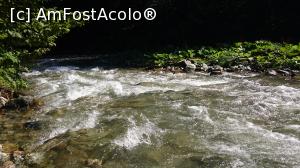[P56] Bistra Mărului - apa cea frumos curgătoare prin Poiana Mărului.  » foto by Aurici
 - 
<span class="allrVoted glyphicon glyphicon-heart hidden" id="av810604"></span>
<a class="m-l-10 hidden" id="sv810604" onclick="voting_Foto_DelVot(,810604,4656)" role="button">șterge vot <span class="glyphicon glyphicon-remove"></span></a>
<a id="v9810604" class=" c-red"  onclick="voting_Foto_SetVot(810604)" role="button"><span class="glyphicon glyphicon-heart-empty"></span> <b>LIKE</b> = Votează poza</a> <img class="hidden"  id="f810604W9" src="/imagini/loader.gif" border="0" /><span class="AjErrMes hidden" id="e810604ErM"></span>