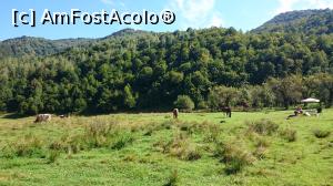 [P01] Pajiști la coada lacului Poiana Mărului.  » foto by Aurici
 - 
<span class="allrVoted glyphicon glyphicon-heart hidden" id="av811428"></span>
<a class="m-l-10 hidden" id="sv811428" onclick="voting_Foto_DelVot(,811428,4656)" role="button">șterge vot <span class="glyphicon glyphicon-remove"></span></a>
<a id="v9811428" class=" c-red"  onclick="voting_Foto_SetVot(811428)" role="button"><span class="glyphicon glyphicon-heart-empty"></span> <b>LIKE</b> = Votează poza</a> <img class="hidden"  id="f811428W9" src="/imagini/loader.gif" border="0" /><span class="AjErrMes hidden" id="e811428ErM"></span>