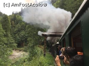 [P27] Trecem pe sub o poarta maramureseana si toata lumea face poze » foto by mishu
 - 
<span class="allrVoted glyphicon glyphicon-heart hidden" id="av889945"></span>
<a class="m-l-10 hidden" id="sv889945" onclick="voting_Foto_DelVot(,889945,4656)" role="button">șterge vot <span class="glyphicon glyphicon-remove"></span></a>
<a id="v9889945" class=" c-red"  onclick="voting_Foto_SetVot(889945)" role="button"><span class="glyphicon glyphicon-heart-empty"></span> <b>LIKE</b> = Votează poza</a> <img class="hidden"  id="f889945W9" src="/imagini/loader.gif" border="0" /><span class="AjErrMes hidden" id="e889945ErM"></span>