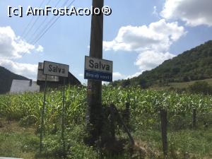 [P38] Si uite ca trecem si prin Salva » foto by mishu
 - 
<span class="allrVoted glyphicon glyphicon-heart hidden" id="av889956"></span>
<a class="m-l-10 hidden" id="sv889956" onclick="voting_Foto_DelVot(,889956,4656)" role="button">șterge vot <span class="glyphicon glyphicon-remove"></span></a>
<a id="v9889956" class=" c-red"  onclick="voting_Foto_SetVot(889956)" role="button"><span class="glyphicon glyphicon-heart-empty"></span> <b>LIKE</b> = Votează poza</a> <img class="hidden"  id="f889956W9" src="/imagini/loader.gif" border="0" /><span class="AjErrMes hidden" id="e889956ErM"></span>