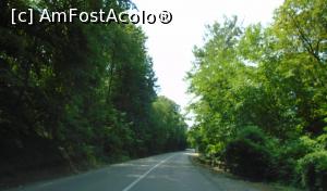 [P41] Pădurea de la ieșirea din Moreni spre Filipești » foto by Carmen Ion
 - 
<span class="allrVoted glyphicon glyphicon-heart hidden" id="av1172662"></span>
<a class="m-l-10 hidden" id="sv1172662" onclick="voting_Foto_DelVot(,1172662,4656)" role="button">șterge vot <span class="glyphicon glyphicon-remove"></span></a>
<a id="v91172662" class=" c-red"  onclick="voting_Foto_SetVot(1172662)" role="button"><span class="glyphicon glyphicon-heart-empty"></span> <b>LIKE</b> = Votează poza</a> <img class="hidden"  id="f1172662W9" src="/imagini/loader.gif" border="0" /><span class="AjErrMes hidden" id="e1172662ErM"></span>