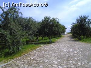 [P43] Conacul Pană Filipescu » foto by Carmen Ion
 - 
<span class="allrVoted glyphicon glyphicon-heart hidden" id="av1172664"></span>
<a class="m-l-10 hidden" id="sv1172664" onclick="voting_Foto_DelVot(,1172664,4656)" role="button">șterge vot <span class="glyphicon glyphicon-remove"></span></a>
<a id="v91172664" class=" c-red"  onclick="voting_Foto_SetVot(1172664)" role="button"><span class="glyphicon glyphicon-heart-empty"></span> <b>LIKE</b> = Votează poza</a> <img class="hidden"  id="f1172664W9" src="/imagini/loader.gif" border="0" /><span class="AjErrMes hidden" id="e1172664ErM"></span>