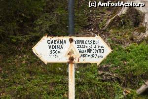 [P31] spre cabana Cuca » foto by Chloe
 - 
<span class="allrVoted glyphicon glyphicon-heart hidden" id="av638265"></span>
<a class="m-l-10 hidden" id="sv638265" onclick="voting_Foto_DelVot(,638265,4656)" role="button">șterge vot <span class="glyphicon glyphicon-remove"></span></a>
<a id="v9638265" class=" c-red"  onclick="voting_Foto_SetVot(638265)" role="button"><span class="glyphicon glyphicon-heart-empty"></span> <b>LIKE</b> = Votează poza</a> <img class="hidden"  id="f638265W9" src="/imagini/loader.gif" border="0" /><span class="AjErrMes hidden" id="e638265ErM"></span>