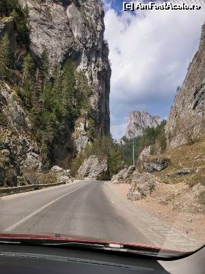 [P14] Cheile Bicazului - Neamt » foto by Lale
 - 
<span class="allrVoted glyphicon glyphicon-heart hidden" id="av658984"></span>
<a class="m-l-10 hidden" id="sv658984" onclick="voting_Foto_DelVot(,658984,4656)" role="button">șterge vot <span class="glyphicon glyphicon-remove"></span></a>
<a id="v9658984" class=" c-red"  onclick="voting_Foto_SetVot(658984)" role="button"><span class="glyphicon glyphicon-heart-empty"></span> <b>LIKE</b> = Votează poza</a> <img class="hidden"  id="f658984W9" src="/imagini/loader.gif" border="0" /><span class="AjErrMes hidden" id="e658984ErM"></span>