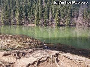 [P17] Lacul Rosu - Harghita » foto by Lale
 - 
<span class="allrVoted glyphicon glyphicon-heart hidden" id="av658987"></span>
<a class="m-l-10 hidden" id="sv658987" onclick="voting_Foto_DelVot(,658987,4656)" role="button">șterge vot <span class="glyphicon glyphicon-remove"></span></a>
<a id="v9658987" class=" c-red"  onclick="voting_Foto_SetVot(658987)" role="button"><span class="glyphicon glyphicon-heart-empty"></span> <b>LIKE</b> = Votează poza</a> <img class="hidden"  id="f658987W9" src="/imagini/loader.gif" border="0" /><span class="AjErrMes hidden" id="e658987ErM"></span>