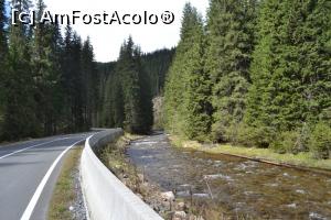 [P10] Transalpina spre Oasa » foto by MAnd
 - 
<span class="allrVoted glyphicon glyphicon-heart hidden" id="av742653"></span>
<a class="m-l-10 hidden" id="sv742653" onclick="voting_Foto_DelVot(,742653,4656)" role="button">șterge vot <span class="glyphicon glyphicon-remove"></span></a>
<a id="v9742653" class=" c-red"  onclick="voting_Foto_SetVot(742653)" role="button"><span class="glyphicon glyphicon-heart-empty"></span> <b>LIKE</b> = Votează poza</a> <img class="hidden"  id="f742653W9" src="/imagini/loader.gif" border="0" /><span class="AjErrMes hidden" id="e742653ErM"></span>
