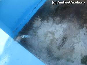 [P19] La Bala, acum incepe sa se umple piscina » foto by dorgo
 - 
<span class="allrVoted glyphicon glyphicon-heart hidden" id="av630702"></span>
<a class="m-l-10 hidden" id="sv630702" onclick="voting_Foto_DelVot(,630702,4656)" role="button">șterge vot <span class="glyphicon glyphicon-remove"></span></a>
<a id="v9630702" class=" c-red"  onclick="voting_Foto_SetVot(630702)" role="button"><span class="glyphicon glyphicon-heart-empty"></span> <b>LIKE</b> = Votează poza</a> <img class="hidden"  id="f630702W9" src="/imagini/loader.gif" border="0" /><span class="AjErrMes hidden" id="e630702ErM"></span>