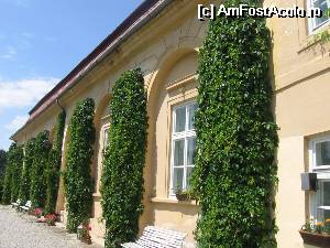 [P25] Palatul Bruckental din Avrig » foto by Michi
 - 
<span class="allrVoted glyphicon glyphicon-heart hidden" id="av530249"></span>
<a class="m-l-10 hidden" id="sv530249" onclick="voting_Foto_DelVot(,530249,4656)" role="button">șterge vot <span class="glyphicon glyphicon-remove"></span></a>
<a id="v9530249" class=" c-red"  onclick="voting_Foto_SetVot(530249)" role="button"><span class="glyphicon glyphicon-heart-empty"></span> <b>LIKE</b> = Votează poza</a> <img class="hidden"  id="f530249W9" src="/imagini/loader.gif" border="0" /><span class="AjErrMes hidden" id="e530249ErM"></span>