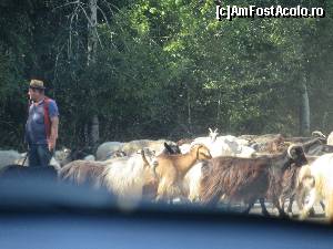 [P12] Baraj natural » foto by Michi
 - 
<span class="allrVoted glyphicon glyphicon-heart hidden" id="av668142"></span>
<a class="m-l-10 hidden" id="sv668142" onclick="voting_Foto_DelVot(,668142,4656)" role="button">șterge vot <span class="glyphicon glyphicon-remove"></span></a>
<a id="v9668142" class=" c-red"  onclick="voting_Foto_SetVot(668142)" role="button"><span class="glyphicon glyphicon-heart-empty"></span> <b>LIKE</b> = Votează poza</a> <img class="hidden"  id="f668142W9" src="/imagini/loader.gif" border="0" /><span class="AjErrMes hidden" id="e668142ErM"></span>