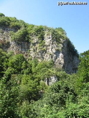 [P17] Parcul natural Domoglod- Cerna » foto by Michi
 - 
<span class="allrVoted glyphicon glyphicon-heart hidden" id="av668147"></span>
<a class="m-l-10 hidden" id="sv668147" onclick="voting_Foto_DelVot(,668147,4656)" role="button">șterge vot <span class="glyphicon glyphicon-remove"></span></a>
<a id="v9668147" class=" c-red"  onclick="voting_Foto_SetVot(668147)" role="button"><span class="glyphicon glyphicon-heart-empty"></span> <b>LIKE</b> = Votează poza</a> <img class="hidden"  id="f668147W9" src="/imagini/loader.gif" border="0" /><span class="AjErrMes hidden" id="e668147ErM"></span>