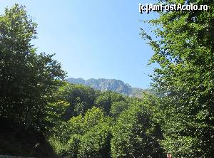 [P08] Frumuseţea drumului DN67D » foto by Michi
 - 
<span class="allrVoted glyphicon glyphicon-heart hidden" id="av668113"></span>
<a class="m-l-10 hidden" id="sv668113" onclick="voting_Foto_DelVot(,668113,4656)" role="button">șterge vot <span class="glyphicon glyphicon-remove"></span></a>
<a id="v9668113" class=" c-red"  onclick="voting_Foto_SetVot(668113)" role="button"><span class="glyphicon glyphicon-heart-empty"></span> <b>LIKE</b> = Votează poza</a> <img class="hidden"  id="f668113W9" src="/imagini/loader.gif" border="0" /><span class="AjErrMes hidden" id="e668113ErM"></span>