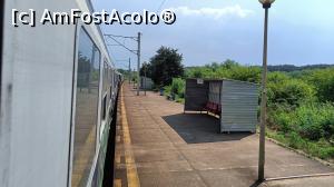 [P25] Unul din peroanele hălții Scroviștea (gara veche, „înecată” în vegetație, se află pe partea opusă). » foto by tata123 🔱
 - 
<span class="allrVoted glyphicon glyphicon-heart hidden" id="av1374782"></span>
<a class="m-l-10 hidden" id="sv1374782" onclick="voting_Foto_DelVot(,1374782,4656)" role="button">șterge vot <span class="glyphicon glyphicon-remove"></span></a>
<a id="v91374782" class=" c-red"  onclick="voting_Foto_SetVot(1374782)" role="button"><span class="glyphicon glyphicon-heart-empty"></span> <b>LIKE</b> = Votează poza</a> <img class="hidden"  id="f1374782W9" src="/imagini/loader.gif" border="0" /><span class="AjErrMes hidden" id="e1374782ErM"></span>