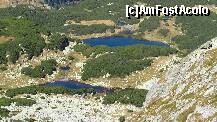 [P03] lacurile glaciare din parang » foto by boga
 - 
<span class="allrVoted glyphicon glyphicon-heart hidden" id="av274266"></span>
<a class="m-l-10 hidden" id="sv274266" onclick="voting_Foto_DelVot(,274266,4665)" role="button">șterge vot <span class="glyphicon glyphicon-remove"></span></a>
<a id="v9274266" class=" c-red"  onclick="voting_Foto_SetVot(274266)" role="button"><span class="glyphicon glyphicon-heart-empty"></span> <b>LIKE</b> = Votează poza</a> <img class="hidden"  id="f274266W9" src="/imagini/loader.gif" border="0" /><span class="AjErrMes hidden" id="e274266ErM"></span>