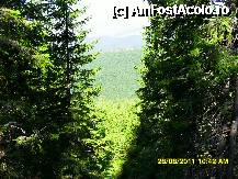 [P69]  -- <small>// FĂRĂ DESCRIERE</small> » foto by adryana
 - 
<span class="allrVoted glyphicon glyphicon-heart hidden" id="av250109"></span>
<a class="m-l-10 hidden" id="sv250109" onclick="voting_Foto_DelVot(,250109,4665)" role="button">șterge vot <span class="glyphicon glyphicon-remove"></span></a>
<a id="v9250109" class=" c-red"  onclick="voting_Foto_SetVot(250109)" role="button"><span class="glyphicon glyphicon-heart-empty"></span> <b>LIKE</b> = Votează poza</a> <img class="hidden"  id="f250109W9" src="/imagini/loader.gif" border="0" /><span class="AjErrMes hidden" id="e250109ErM"></span>