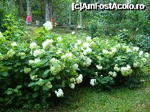 [P14] Prin parcul din Olanesti » foto by Paty
 - 
<span class="allrVoted glyphicon glyphicon-heart hidden" id="av235852"></span>
<a class="m-l-10 hidden" id="sv235852" onclick="voting_Foto_DelVot(,235852,4666)" role="button">șterge vot <span class="glyphicon glyphicon-remove"></span></a>
<a id="v9235852" class=" c-red"  onclick="voting_Foto_SetVot(235852)" role="button"><span class="glyphicon glyphicon-heart-empty"></span> <b>LIKE</b> = Votează poza</a> <img class="hidden"  id="f235852W9" src="/imagini/loader.gif" border="0" /><span class="AjErrMes hidden" id="e235852ErM"></span>