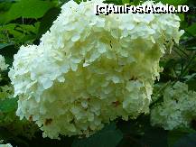 [P15]  -- <small>// FĂRĂ DESCRIERE</small> » foto by Paty
 - 
<span class="allrVoted glyphicon glyphicon-heart hidden" id="av235853"></span>
<a class="m-l-10 hidden" id="sv235853" onclick="voting_Foto_DelVot(,235853,4666)" role="button">șterge vot <span class="glyphicon glyphicon-remove"></span></a>
<a id="v9235853" class=" c-red"  onclick="voting_Foto_SetVot(235853)" role="button"><span class="glyphicon glyphicon-heart-empty"></span> <b>LIKE</b> = Votează poza</a> <img class="hidden"  id="f235853W9" src="/imagini/loader.gif" border="0" /><span class="AjErrMes hidden" id="e235853ErM"></span>