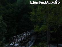 [P17] Olanesti - podul care leaga aleea izvoarelor de izvorul cu apa plata » foto by Paty
 - 
<span class="allrVoted glyphicon glyphicon-heart hidden" id="av235855"></span>
<a class="m-l-10 hidden" id="sv235855" onclick="voting_Foto_DelVot(,235855,4666)" role="button">șterge vot <span class="glyphicon glyphicon-remove"></span></a>
<a id="v9235855" class=" c-red"  onclick="voting_Foto_SetVot(235855)" role="button"><span class="glyphicon glyphicon-heart-empty"></span> <b>LIKE</b> = Votează poza</a> <img class="hidden"  id="f235855W9" src="/imagini/loader.gif" border="0" /><span class="AjErrMes hidden" id="e235855ErM"></span>