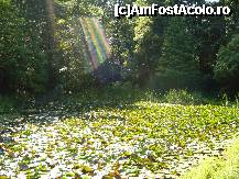 [P02] Olanesti - lacul cu nuferi. O imagine face cat o mie de cuvinte. » foto by Paty
 - 
<span class="allrVoted glyphicon glyphicon-heart hidden" id="av235834"></span>
<a class="m-l-10 hidden" id="sv235834" onclick="voting_Foto_DelVot(,235834,4666)" role="button">șterge vot <span class="glyphicon glyphicon-remove"></span></a>
<a id="v9235834" class=" c-red"  onclick="voting_Foto_SetVot(235834)" role="button"><span class="glyphicon glyphicon-heart-empty"></span> <b>LIKE</b> = Votează poza</a> <img class="hidden"  id="f235834W9" src="/imagini/loader.gif" border="0" /><span class="AjErrMes hidden" id="e235834ErM"></span>