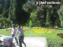 [P09] In parc se plimba 'un bebe mic' » foto by dorgo
 - 
<span class="allrVoted glyphicon glyphicon-heart hidden" id="av168602"></span>
<a class="m-l-10 hidden" id="sv168602" onclick="voting_Foto_DelVot(,168602,4666)" role="button">șterge vot <span class="glyphicon glyphicon-remove"></span></a>
<a id="v9168602" class=" c-red"  onclick="voting_Foto_SetVot(168602)" role="button"><span class="glyphicon glyphicon-heart-empty"></span> <b>LIKE</b> = Votează poza</a> <img class="hidden"  id="f168602W9" src="/imagini/loader.gif" border="0" /><span class="AjErrMes hidden" id="e168602ErM"></span>