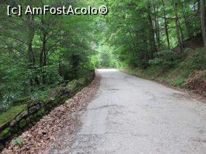 [P07] Până la Popasul Comanca mai există urme de asfalt; pe margine rezistă vechile amenajări rutiere - Olănești.  » foto by tata123 🔱
 - 
<span class="allrVoted glyphicon glyphicon-heart hidden" id="av759224"></span>
<a class="m-l-10 hidden" id="sv759224" onclick="voting_Foto_DelVot(,759224,4666)" role="button">șterge vot <span class="glyphicon glyphicon-remove"></span></a>
<a id="v9759224" class=" c-red"  onclick="voting_Foto_SetVot(759224)" role="button"><span class="glyphicon glyphicon-heart-empty"></span> <b>LIKE</b> = Votează poza</a> <img class="hidden"  id="f759224W9" src="/imagini/loader.gif" border="0" /><span class="AjErrMes hidden" id="e759224ErM"></span>