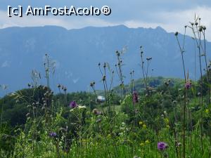 [P18] De aici încolo avem în fața ochilor creasta munților Buila - Vânturarița.  » foto by tata123 🔱
 - 
<span class="allrVoted glyphicon glyphicon-heart hidden" id="av986988"></span>
<a class="m-l-10 hidden" id="sv986988" onclick="voting_Foto_DelVot(,986988,4666)" role="button">șterge vot <span class="glyphicon glyphicon-remove"></span></a>
<a id="v9986988" class=" c-red"  onclick="voting_Foto_SetVot(986988)" role="button"><span class="glyphicon glyphicon-heart-empty"></span> <b>LIKE</b> = Votează poza</a> <img class="hidden"  id="f986988W9" src="/imagini/loader.gif" border="0" /><span class="AjErrMes hidden" id="e986988ErM"></span>