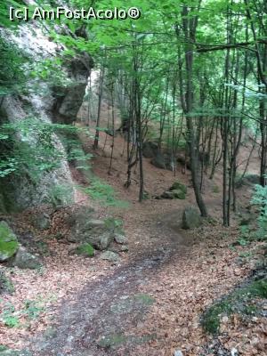 [P04] La drum prin pădure, aproape de vârf - către satul Tisa.  » foto by tata123 🔱
 - 
<span class="allrVoted glyphicon glyphicon-heart hidden" id="av986974"></span>
<a class="m-l-10 hidden" id="sv986974" onclick="voting_Foto_DelVot(,986974,4666)" role="button">șterge vot <span class="glyphicon glyphicon-remove"></span></a>
<a id="v9986974" class=" c-red"  onclick="voting_Foto_SetVot(986974)" role="button"><span class="glyphicon glyphicon-heart-empty"></span> <b>LIKE</b> = Votează poza</a> <img class="hidden"  id="f986974W9" src="/imagini/loader.gif" border="0" /><span class="AjErrMes hidden" id="e986974ErM"></span>