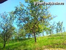 [P22] pajistea din spatele pensiunii Steaua Ariesului » foto by kmy
 - 
<span class="allrVoted glyphicon glyphicon-heart hidden" id="av115112"></span>
<a class="m-l-10 hidden" id="sv115112" onclick="voting_Foto_DelVot(,115112,4675)" role="button">șterge vot <span class="glyphicon glyphicon-remove"></span></a>
<a id="v9115112" class=" c-red"  onclick="voting_Foto_SetVot(115112)" role="button"><span class="glyphicon glyphicon-heart-empty"></span> <b>LIKE</b> = Votează poza</a> <img class="hidden"  id="f115112W9" src="/imagini/loader.gif" border="0" /><span class="AjErrMes hidden" id="e115112ErM"></span>