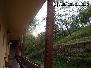 [P07] balconul de pe spate al pensiunii » foto by marocanu21
 - 
<span class="allrVoted glyphicon glyphicon-heart hidden" id="av389711"></span>
<a class="m-l-10 hidden" id="sv389711" onclick="voting_Foto_DelVot(,389711,4675)" role="button">șterge vot <span class="glyphicon glyphicon-remove"></span></a>
<a id="v9389711" class=" c-red"  onclick="voting_Foto_SetVot(389711)" role="button"><span class="glyphicon glyphicon-heart-empty"></span> <b>LIKE</b> = Votează poza</a> <img class="hidden"  id="f389711W9" src="/imagini/loader.gif" border="0" /><span class="AjErrMes hidden" id="e389711ErM"></span>