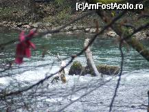 [P04] Hanul La Contele Dracula Suncuius - imprejurimi » foto by presario
 - 
<span class="allrVoted glyphicon glyphicon-heart hidden" id="av43702"></span>
<a class="m-l-10 hidden" id="sv43702" onclick="voting_Foto_DelVot(,43702,4677)" role="button">șterge vot <span class="glyphicon glyphicon-remove"></span></a>
<a id="v943702" class=" c-red"  onclick="voting_Foto_SetVot(43702)" role="button"><span class="glyphicon glyphicon-heart-empty"></span> <b>LIKE</b> = Votează poza</a> <img class="hidden"  id="f43702W9" src="/imagini/loader.gif" border="0" /><span class="AjErrMes hidden" id="e43702ErM"></span>