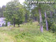 [P10] Pe aici e poteca care duce la Varful Piatra Mare » foto by ionescunic
 - 
<span class="allrVoted glyphicon glyphicon-heart hidden" id="av67322"></span>
<a class="m-l-10 hidden" id="sv67322" onclick="voting_Foto_DelVot(,67322,4684)" role="button">șterge vot <span class="glyphicon glyphicon-remove"></span></a>
<a id="v967322" class=" c-red"  onclick="voting_Foto_SetVot(67322)" role="button"><span class="glyphicon glyphicon-heart-empty"></span> <b>LIKE</b> = Votează poza</a> <img class="hidden"  id="f67322W9" src="/imagini/loader.gif" border="0" /><span class="AjErrMes hidden" id="e67322ErM"></span>