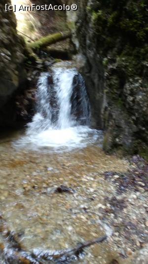 [P16] Apa limpede de munte.  » foto by senateo
 - 
<span class="allrVoted glyphicon glyphicon-heart hidden" id="av865852"></span>
<a class="m-l-10 hidden" id="sv865852" onclick="voting_Foto_DelVot(,865852,4684)" role="button">șterge vot <span class="glyphicon glyphicon-remove"></span></a>
<a id="v9865852" class=" c-red"  onclick="voting_Foto_SetVot(865852)" role="button"><span class="glyphicon glyphicon-heart-empty"></span> <b>LIKE</b> = Votează poza</a> <img class="hidden"  id="f865852W9" src="/imagini/loader.gif" border="0" /><span class="AjErrMes hidden" id="e865852ErM"></span>