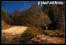 [P26] Bifurcatie . Inainte-in urcare spre Vf Piatra Mare, in coborare- Cascada Tamina (vezi panoul verde) » foto by private_rayen
 - 
<span class="allrVoted glyphicon glyphicon-heart hidden" id="av186207"></span>
<a class="m-l-10 hidden" id="sv186207" onclick="voting_Foto_DelVot(,186207,4684)" role="button">șterge vot <span class="glyphicon glyphicon-remove"></span></a>
<a id="v9186207" class=" c-red"  onclick="voting_Foto_SetVot(186207)" role="button"><span class="glyphicon glyphicon-heart-empty"></span> <b>LIKE</b> = Votează poza</a> <img class="hidden"  id="f186207W9" src="/imagini/loader.gif" border="0" /><span class="AjErrMes hidden" id="e186207ErM"></span>