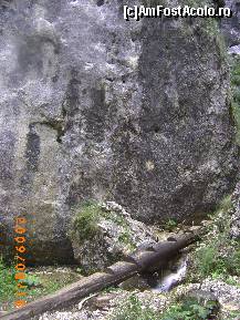 [P03] Puntea peste paraias » foto by krondia*
 - 
<span class="allrVoted glyphicon glyphicon-heart hidden" id="av43336"></span>
<a class="m-l-10 hidden" id="sv43336" onclick="voting_Foto_DelVot(,43336,4684)" role="button">șterge vot <span class="glyphicon glyphicon-remove"></span></a>
<a id="v943336" class=" c-red"  onclick="voting_Foto_SetVot(43336)" role="button"><span class="glyphicon glyphicon-heart-empty"></span> <b>LIKE</b> = Votează poza</a> <img class="hidden"  id="f43336W9" src="/imagini/loader.gif" border="0" /><span class="AjErrMes hidden" id="e43336ErM"></span>