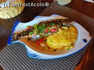 [P13] Restaurant Casa Păstrăvului, Doripesco-Saramură de păstrăv cu mămăligă (77 lei, păstrăvul avea 320g x 29 lei/100g)  » foto by Dana2008
 - 
<span class="allrVoted glyphicon glyphicon-heart hidden" id="av1102965"></span>
<a class="m-l-10 hidden" id="sv1102965" onclick="voting_Foto_DelVot(,1102965,4685)" role="button">șterge vot <span class="glyphicon glyphicon-remove"></span></a>
<a id="v91102965" class=" c-red"  onclick="voting_Foto_SetVot(1102965)" role="button"><span class="glyphicon glyphicon-heart-empty"></span> <b>LIKE</b> = Votează poza</a> <img class="hidden"  id="f1102965W9" src="/imagini/loader.gif" border="0" /><span class="AjErrMes hidden" id="e1102965ErM"></span>