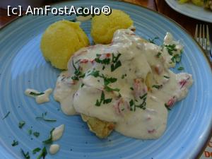 [P16] Șalău cu un delicios sos de ardei copți. » foto by tata123 🔱
 - 
<span class="allrVoted glyphicon glyphicon-heart hidden" id="av1182098"></span>
<a class="m-l-10 hidden" id="sv1182098" onclick="voting_Foto_DelVot(,1182098,4685)" role="button">șterge vot <span class="glyphicon glyphicon-remove"></span></a>
<a id="v91182098" class=" c-red"  onclick="voting_Foto_SetVot(1182098)" role="button"><span class="glyphicon glyphicon-heart-empty"></span> <b>LIKE</b> = Votează poza</a> <img class="hidden"  id="f1182098W9" src="/imagini/loader.gif" border="0" /><span class="AjErrMes hidden" id="e1182098ErM"></span>