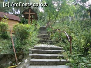 [P02] Aleea Școlii - o scurtătură către restaurantul unguresc Alex din Sinaia.  » foto by Floryn81
 - 
<span class="allrVoted glyphicon glyphicon-heart hidden" id="av776772"></span>
<a class="m-l-10 hidden" id="sv776772" onclick="voting_Foto_DelVot(,776772,4690)" role="button">șterge vot <span class="glyphicon glyphicon-remove"></span></a>
<a id="v9776772" class=" c-red"  onclick="voting_Foto_SetVot(776772)" role="button"><span class="glyphicon glyphicon-heart-empty"></span> <b>LIKE</b> = Votează poza</a> <img class="hidden"  id="f776772W9" src="/imagini/loader.gif" border="0" /><span class="AjErrMes hidden" id="e776772ErM"></span>