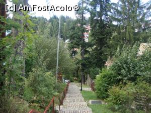 [P36] La plimbare prin Sinaia. O stațiune foarte frumoasă pe care o îndrăgim mulți dintre noi!  » foto by Floryn81
 - 
<span class="allrVoted glyphicon glyphicon-heart hidden" id="av776811"></span>
<a class="m-l-10 hidden" id="sv776811" onclick="voting_Foto_DelVot(,776811,4690)" role="button">șterge vot <span class="glyphicon glyphicon-remove"></span></a>
<a id="v9776811" class=" c-red"  onclick="voting_Foto_SetVot(776811)" role="button"><span class="glyphicon glyphicon-heart-empty"></span> <b>LIKE</b> = Votează poza</a> <img class="hidden"  id="f776811W9" src="/imagini/loader.gif" border="0" /><span class="AjErrMes hidden" id="e776811ErM"></span>